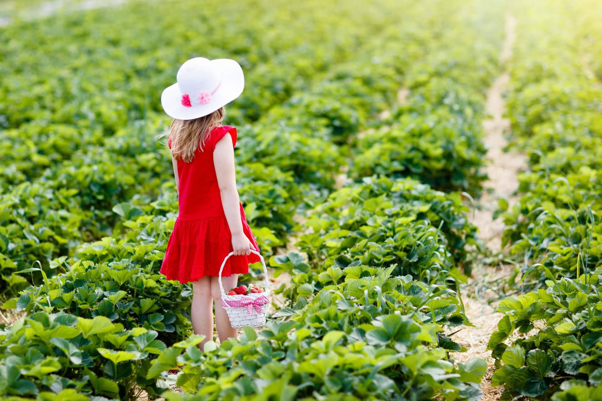 Visitas guiadas a productores, todo lo que pueden aportar al desarrollo de una educación con valores