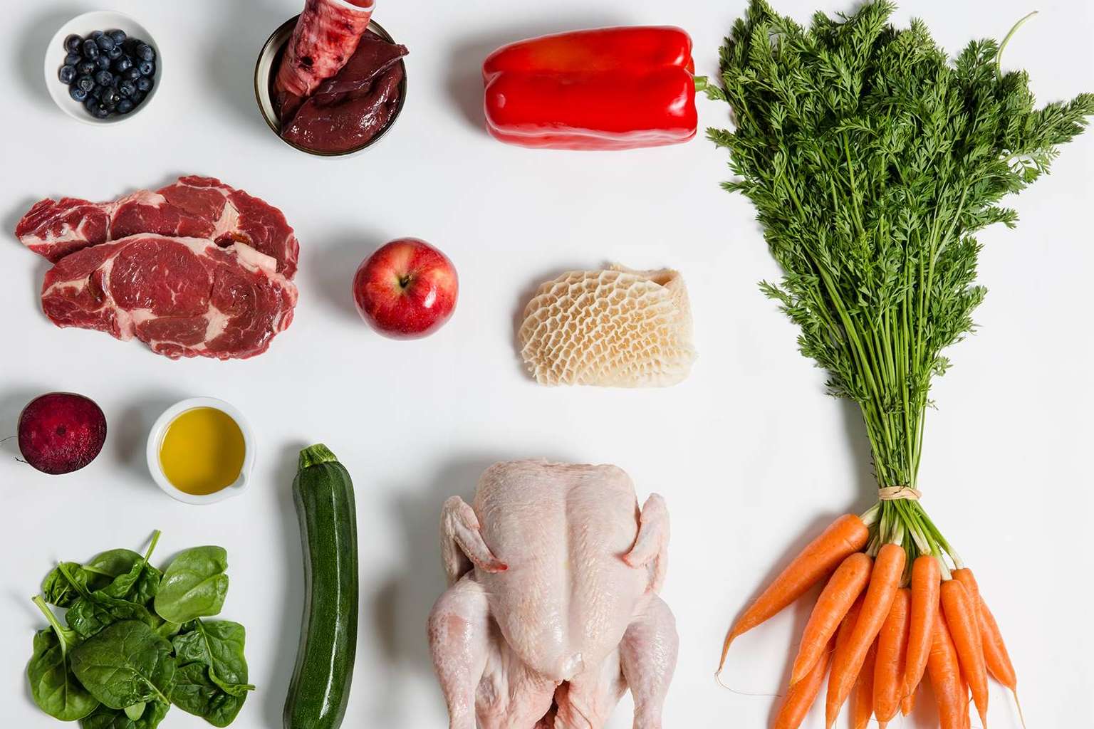 ¿Qué beneficios tiene la dieta BARF para los perros?