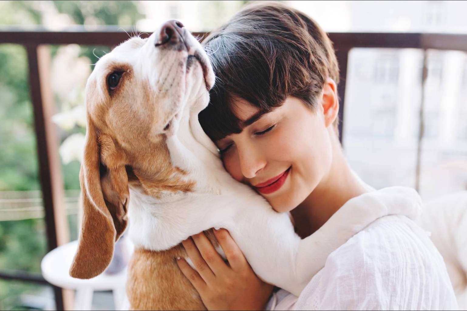 Pets4Good es la nueva tienda de mascotas solidaria online