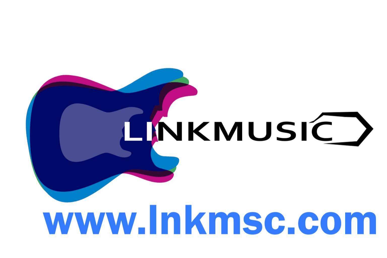 ¿En qué consiste el sistema de oportunidades de LinkMusic?