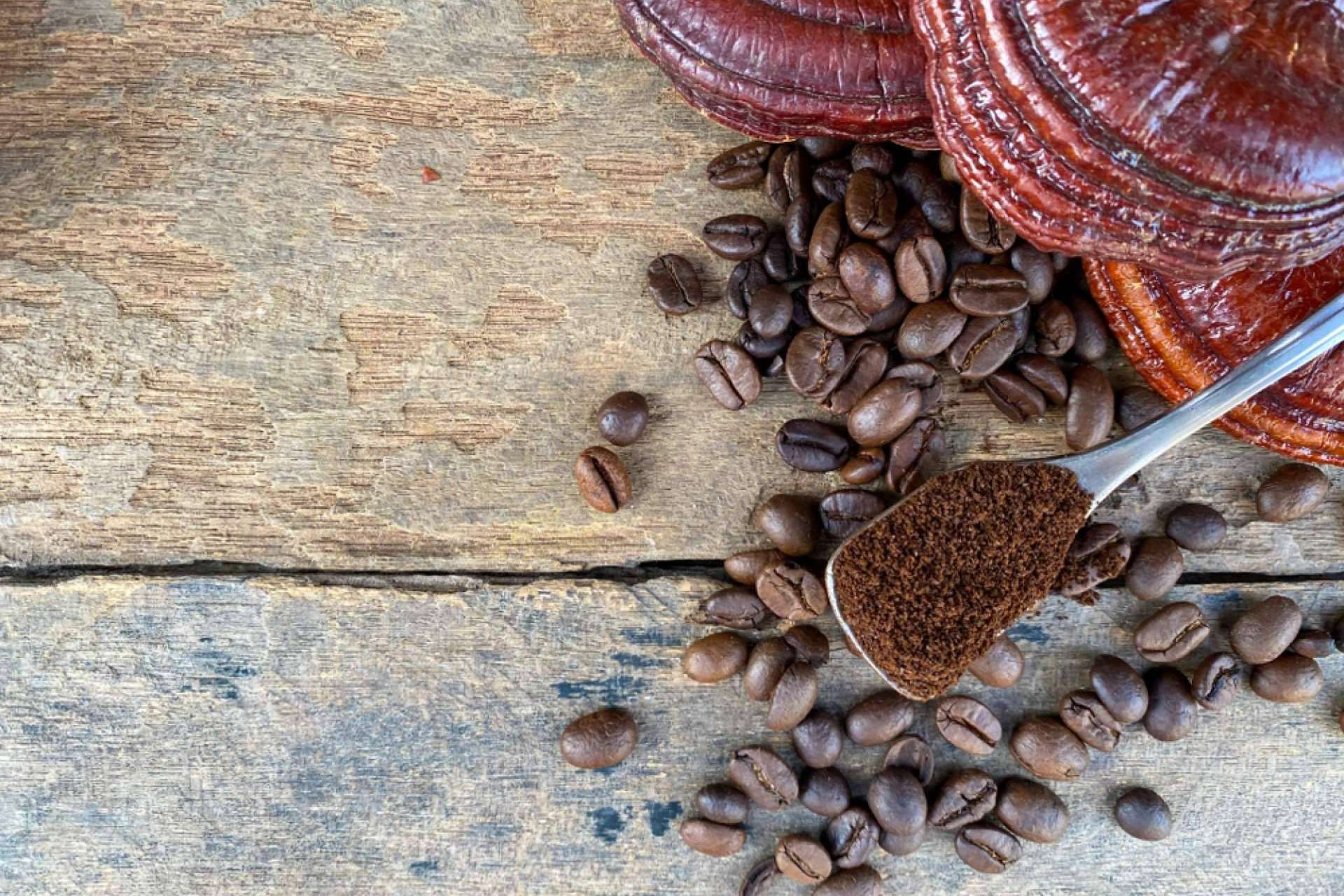 La combinación de café con ganoderma, por La Tienda De Cristóbal