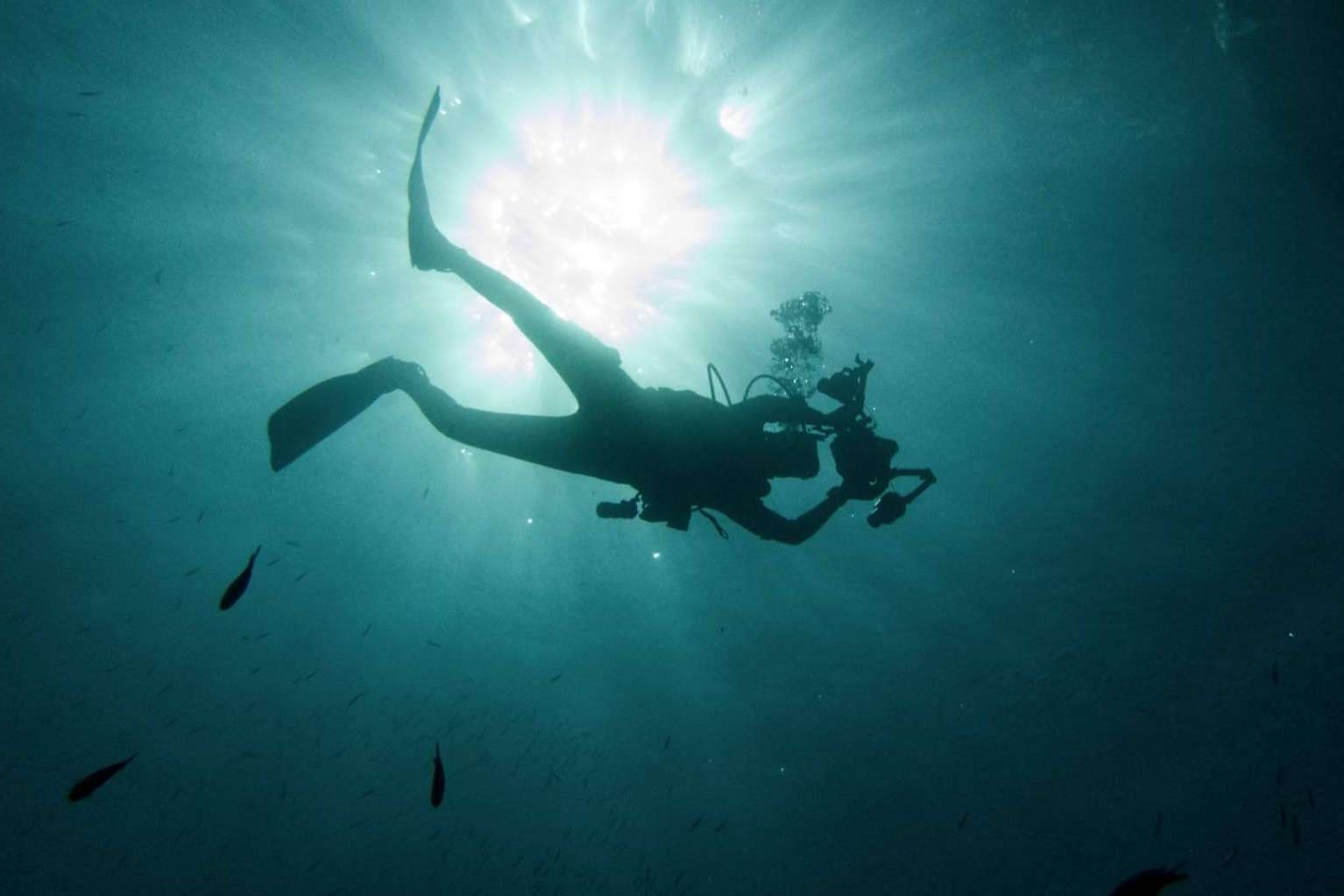 Curso de submarinismo en las Islas Medas, de la mano de Unisub