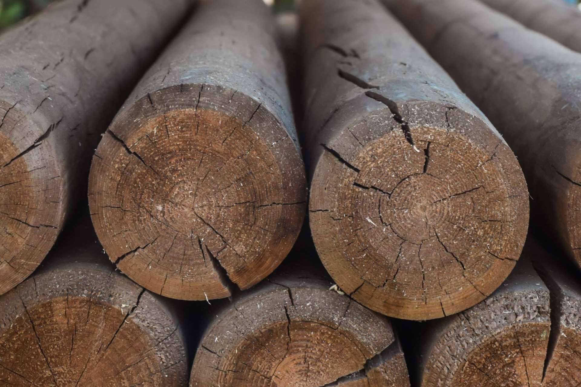 ¿Qué madera es la mejor para los muebles?, por Maderas Gámez