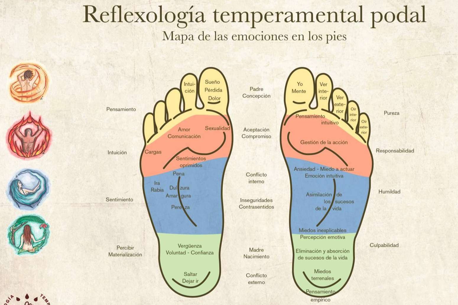 ¿Qué es la reflexología podal evolutiva y qué beneficios ofrece?, según Rafi Tur
