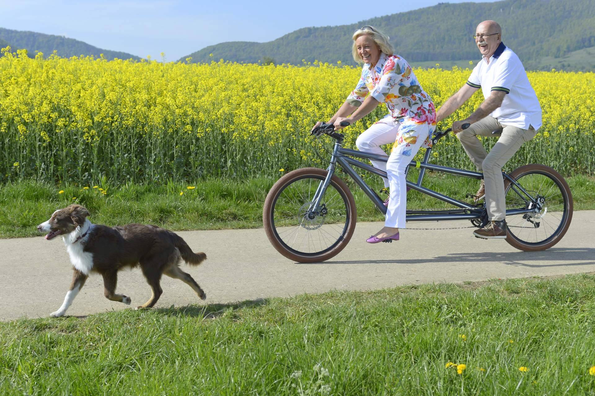 La adopción de perros, una forma de ganar amigos