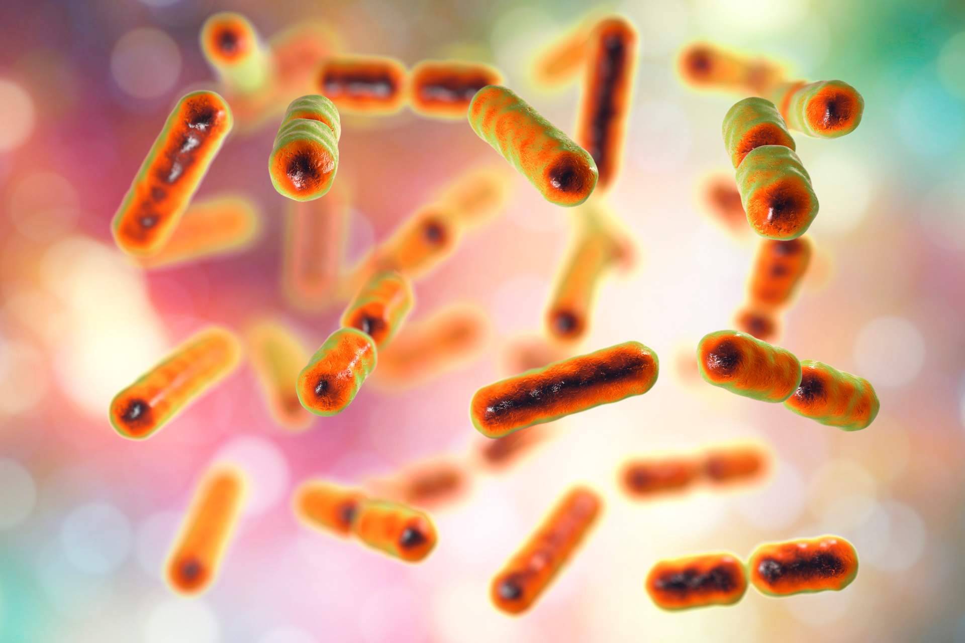 Tratamiento de modulación de microbiota y disbiosis, por el Dr Fernando Ruger Viarengo, un referente en la materia