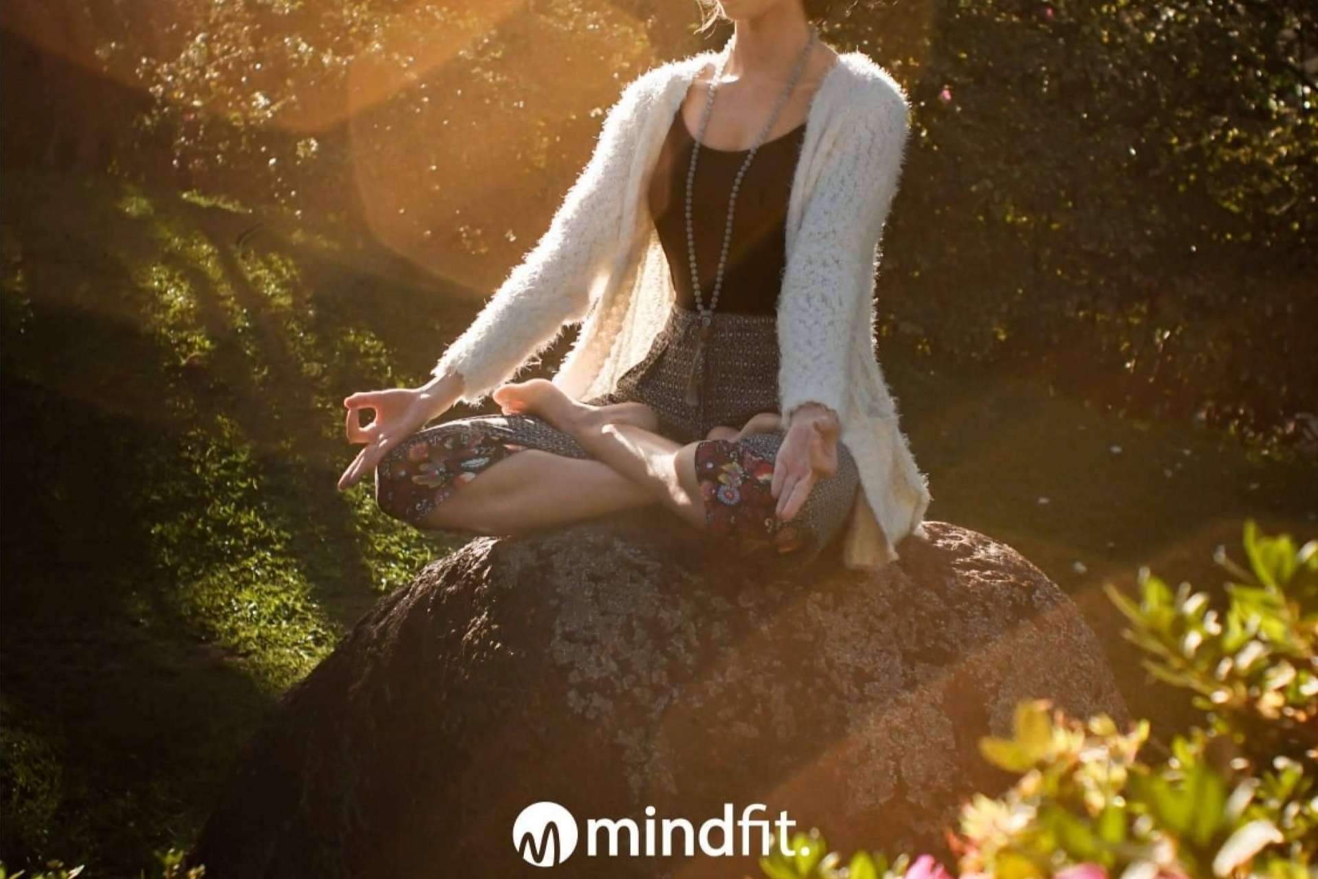 MindFit está revolucionando el bienestar mental corporativo