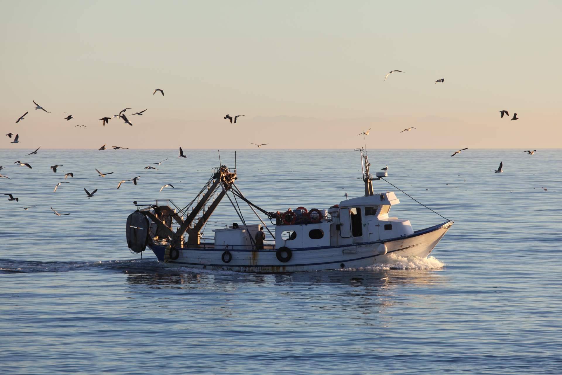 Nova Argonáutica dispone de los recambios de amarre y accesorios de fondeo náutico