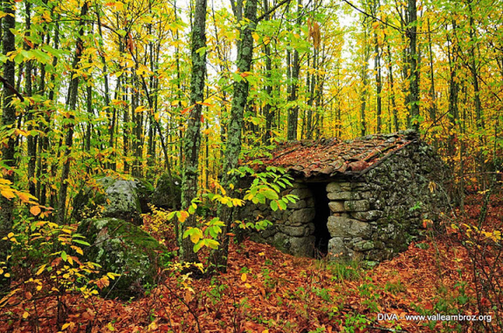 Vive Baños de Montemayor y celebrar el Otoño Mágico