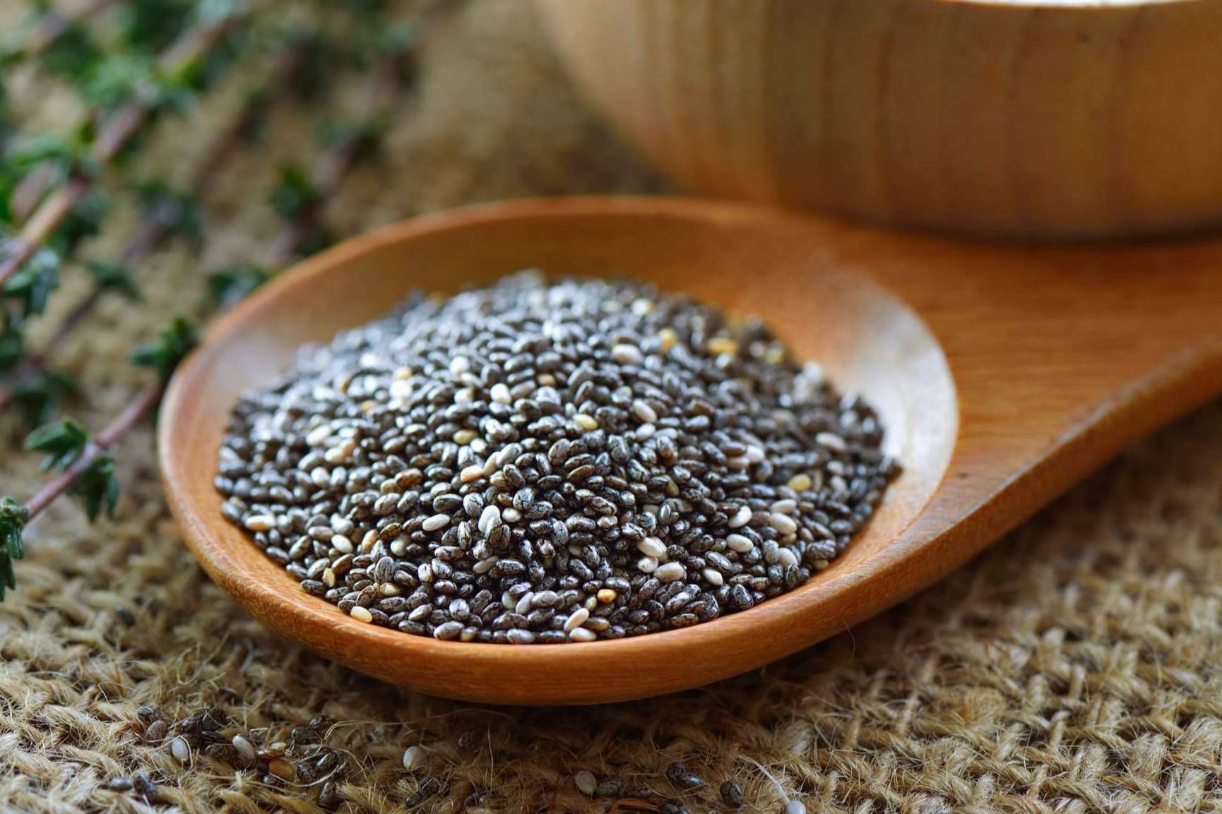 Fayle Seeds, venta online de chía a profesionales
