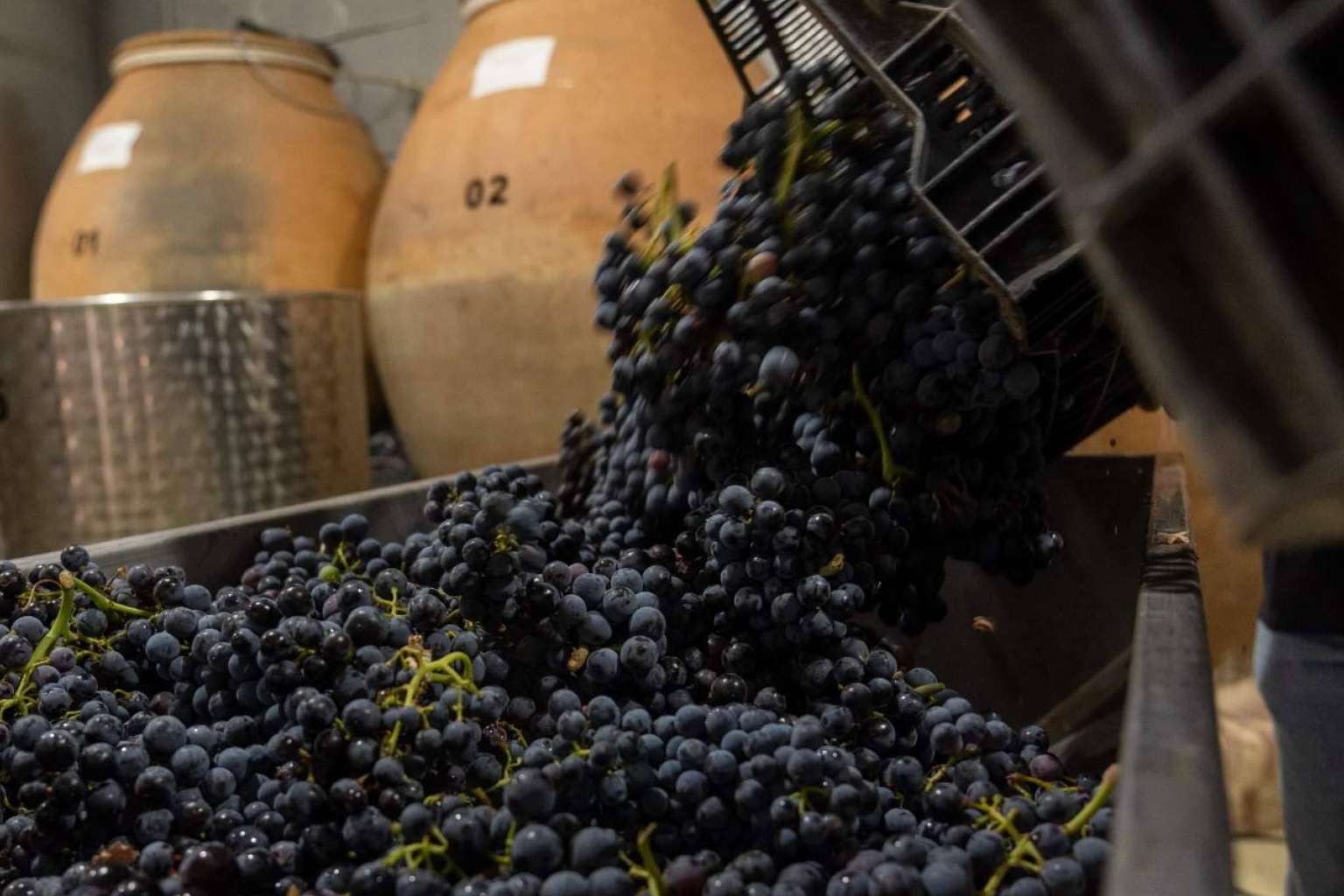 Tinajas de barro de más de 100 años para la elaboración de vinos, con Bodegas Fernández de la Ossa