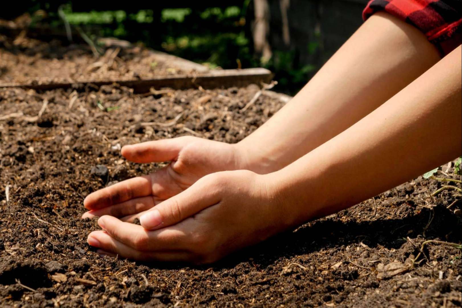 Saboranaranjas.com sobre la importancia de la agricultura sostenible