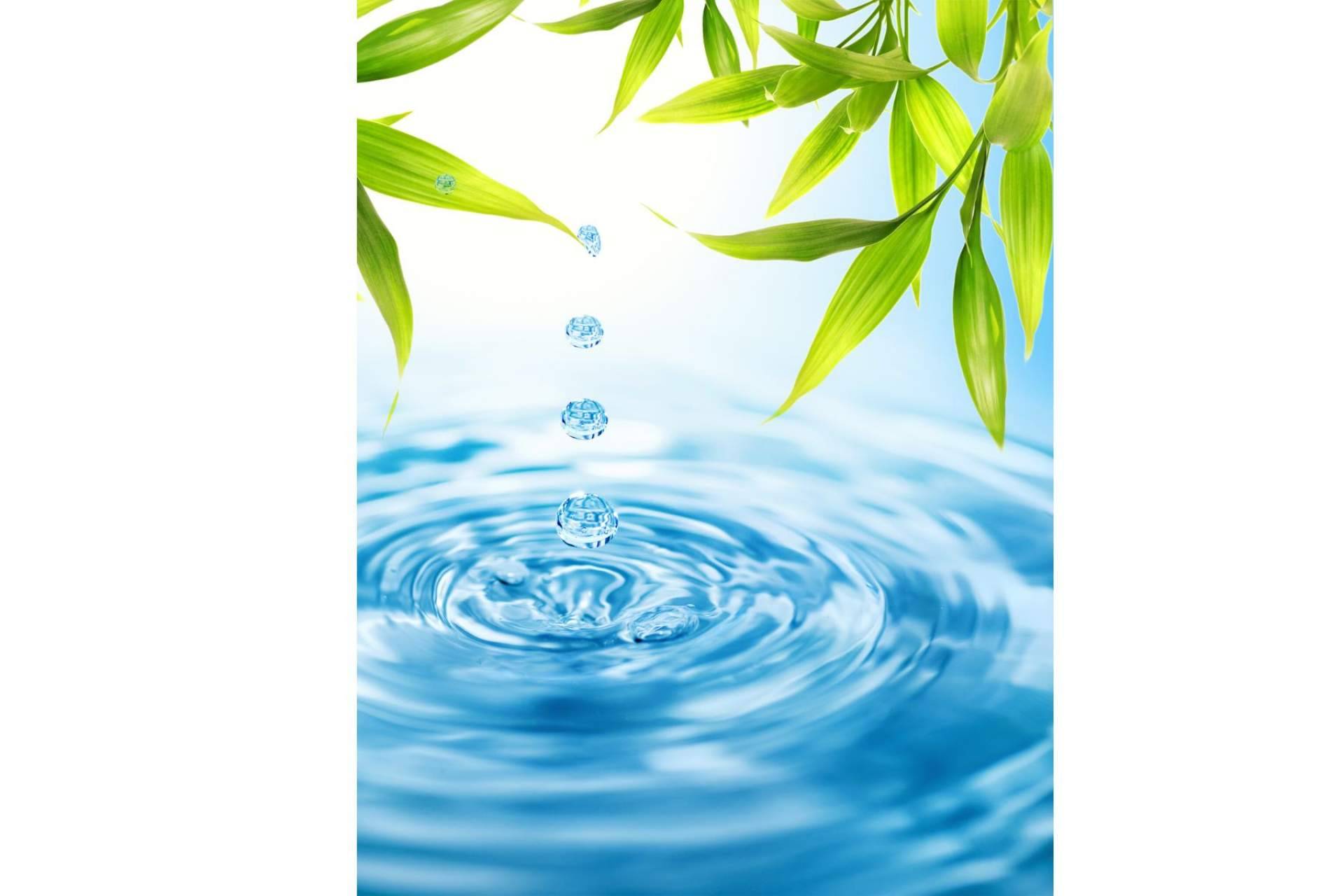 Las botellas de las fuentes de Blue Planet contribuyen en el cuidado del medioambiente y el reciclaje