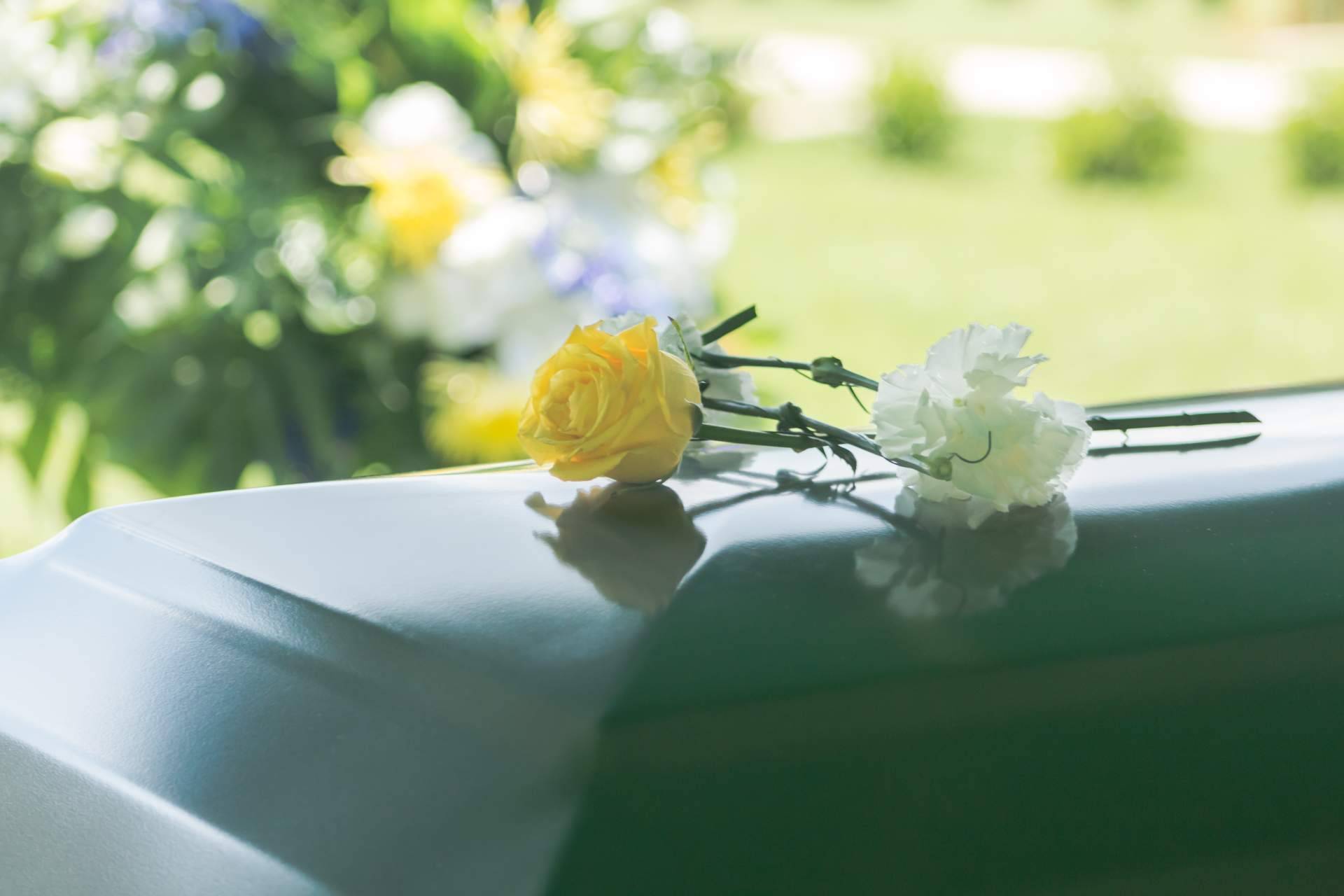 La sostenibilidad en el sector funerario, así es como se están adaptando las compañías