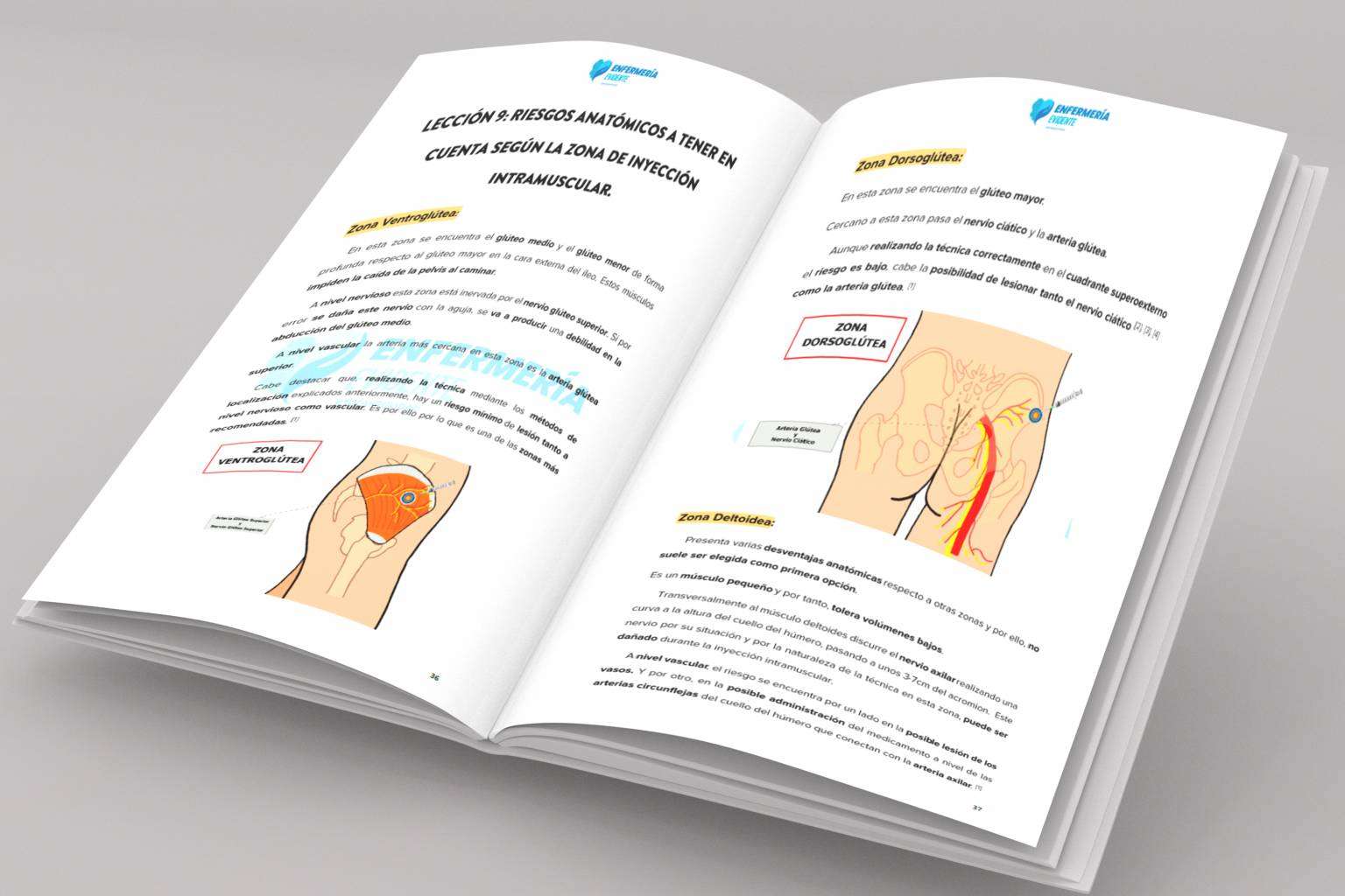 Enfermería Evidente lanza su primer manual sobre inyección intramuscular