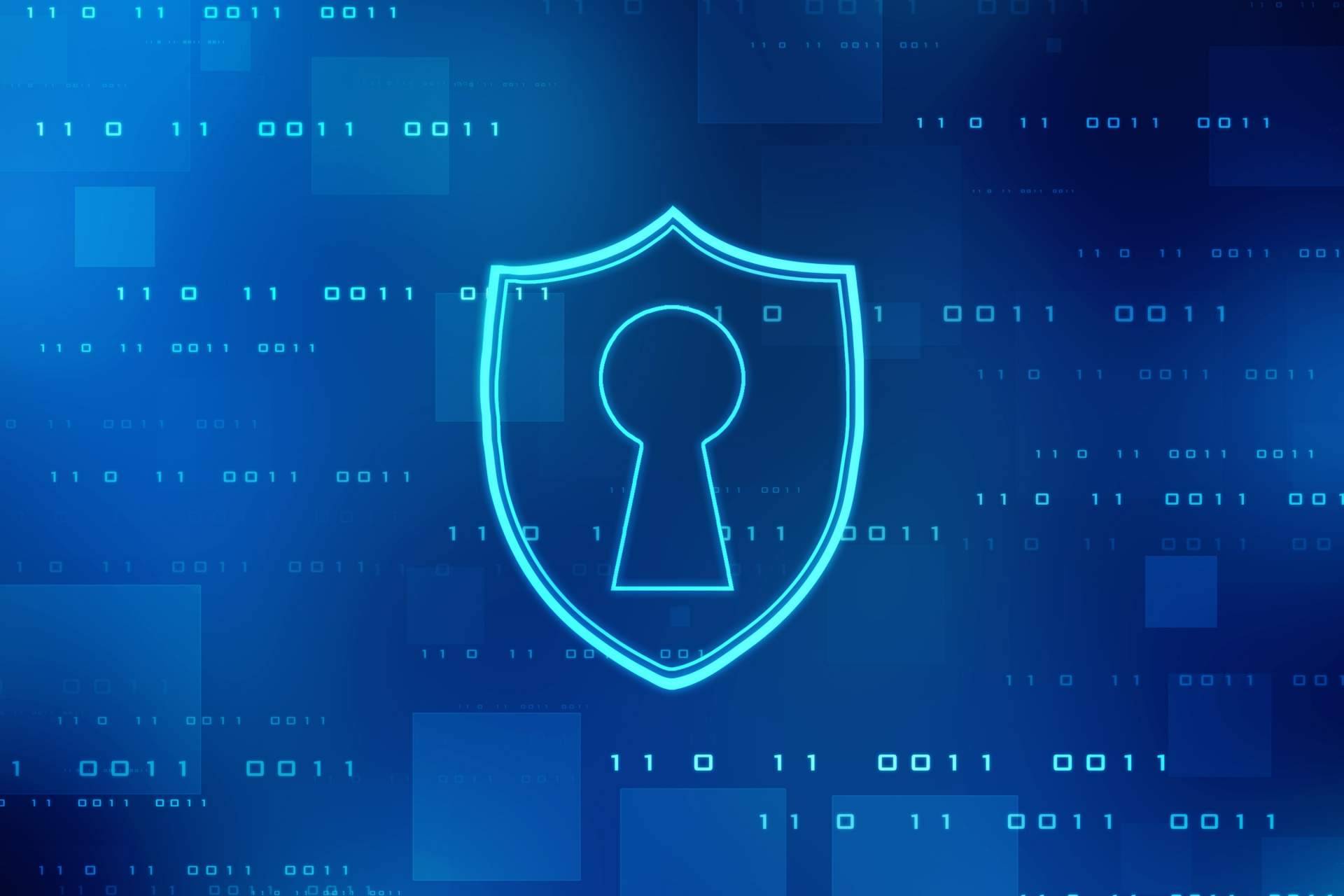 Las firmas de seguridad informática recomiendan llevar a cabo auditorías para la detección de vulnerabilidades en los sistemas