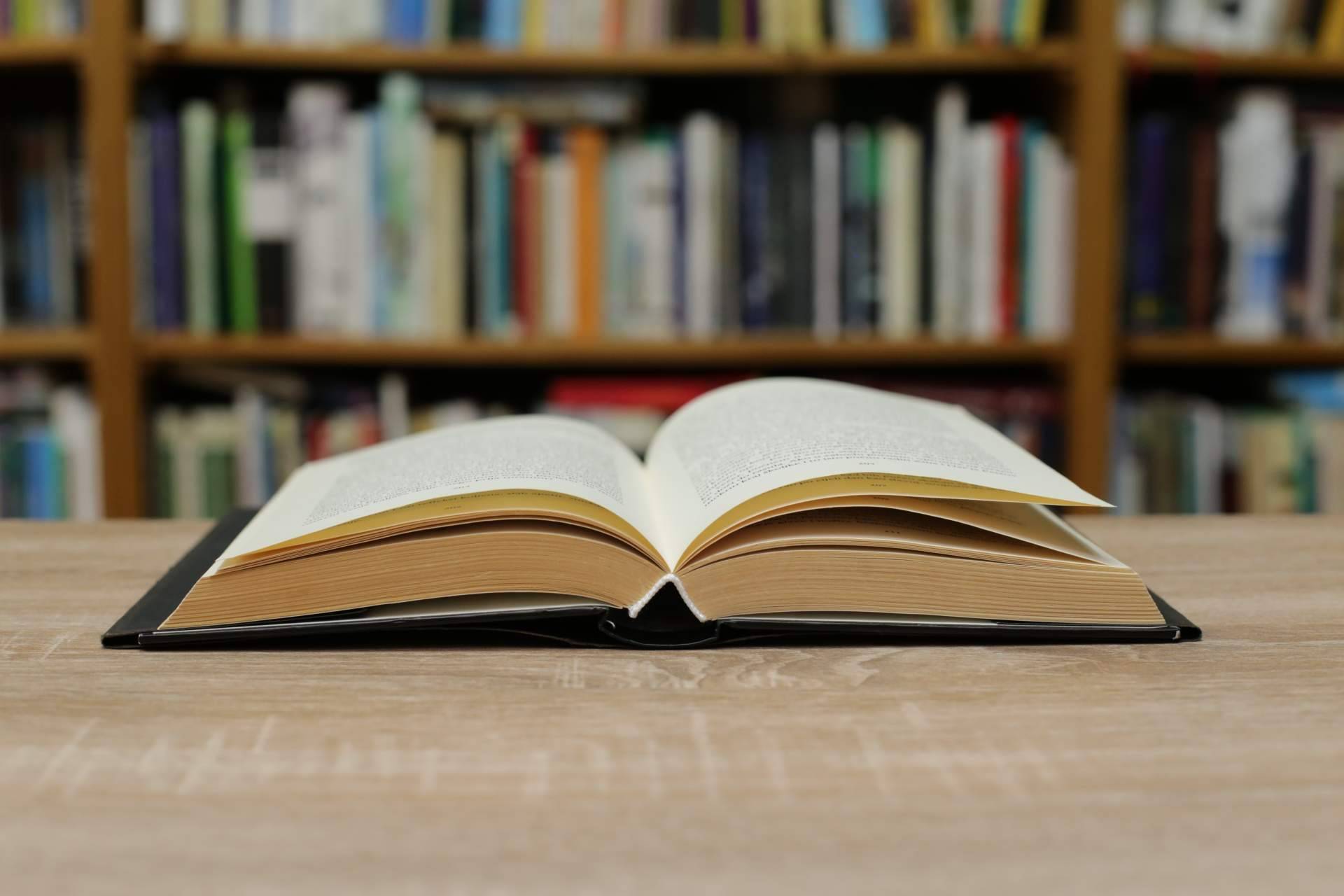 El éxito de los nuevos lanzamientos de Editorial Pluma publicados en 2022