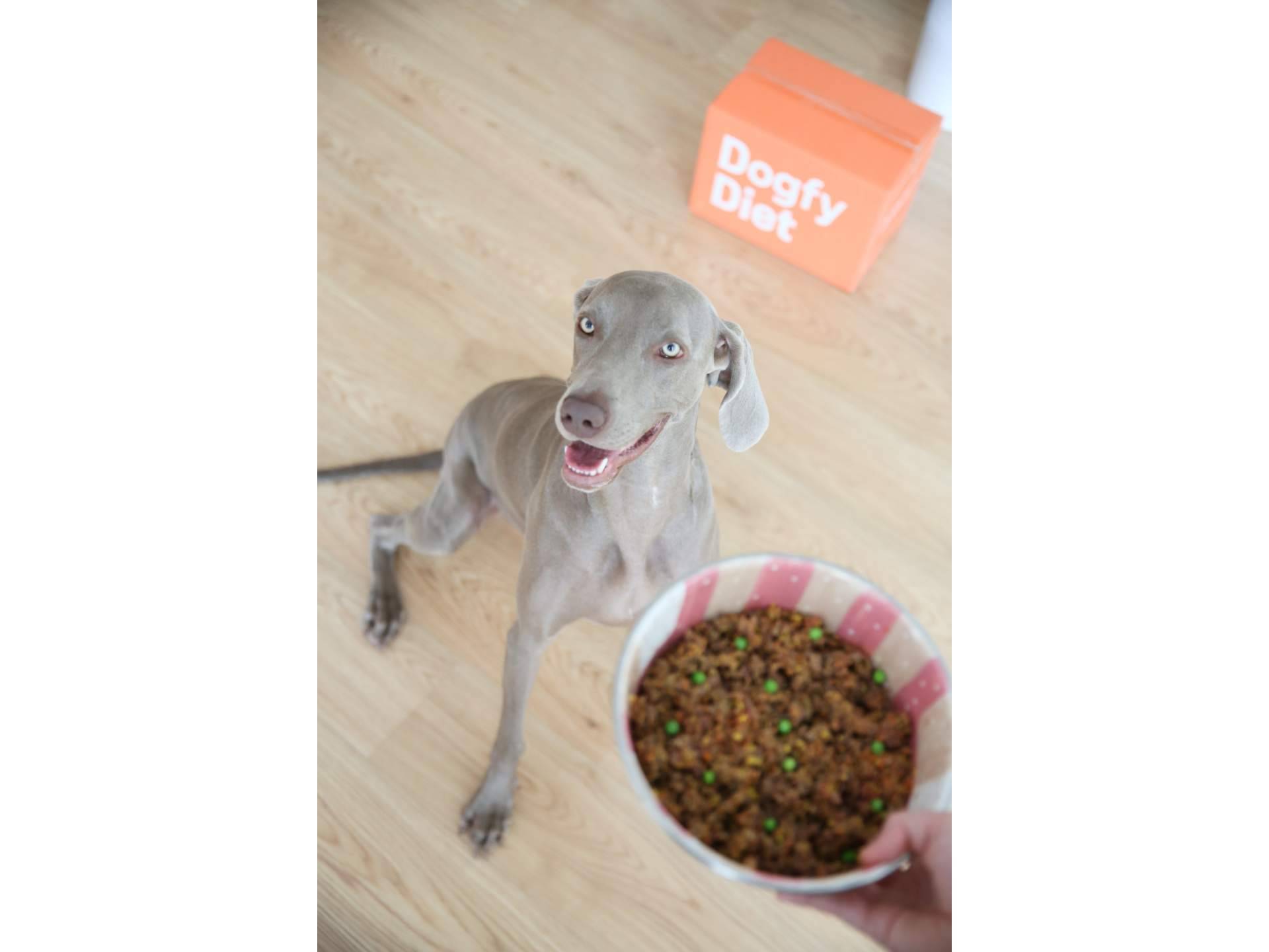Las diferencias entre la comida natural cocinada para perros y la dieta BARF