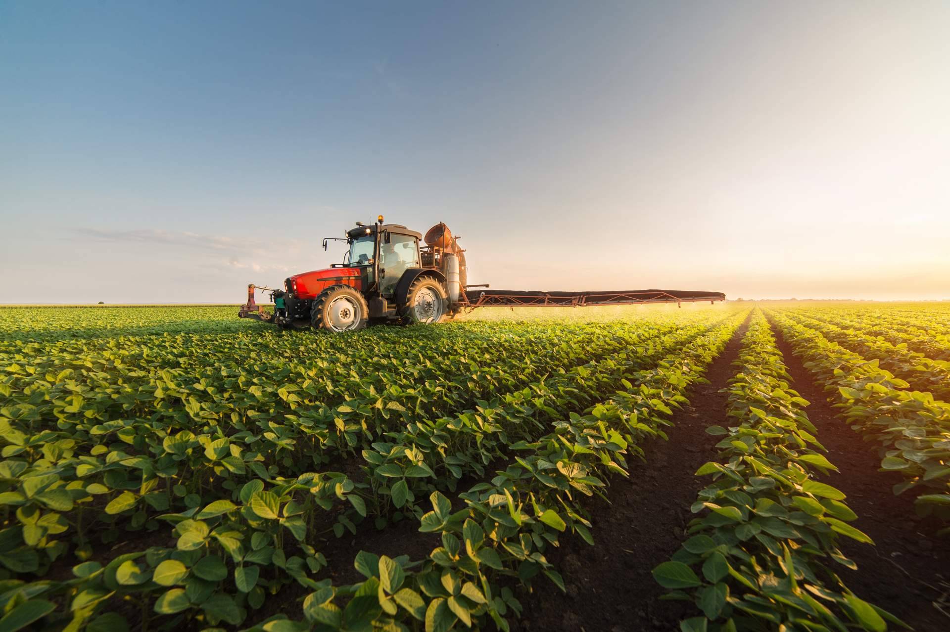 Buscando eficiencia en las explotaciones agropecuarias; la economía colaborativa es una solución