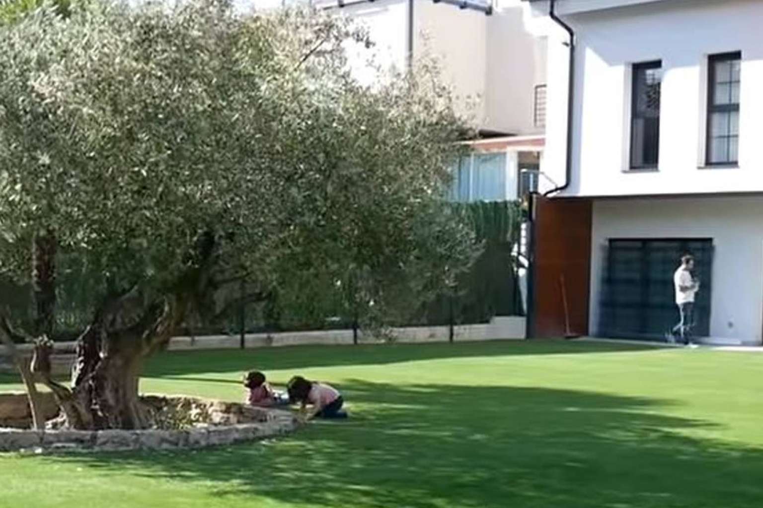 Albergrass, productores y fabricantes de césped artificial