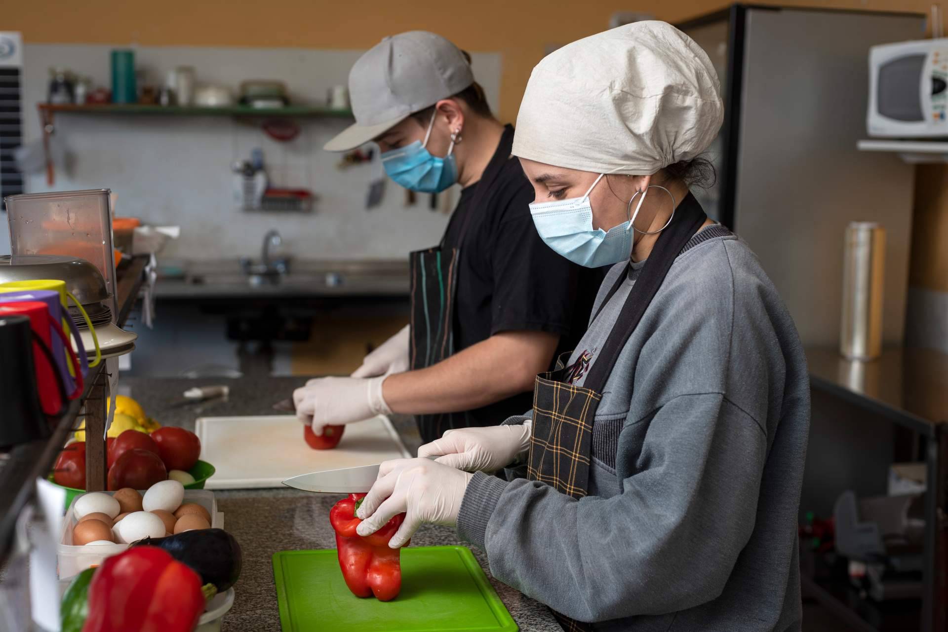 La posibilidad de realizar de forma gratuita el curso de manipulador de alimentos, por Damito - Tecnas