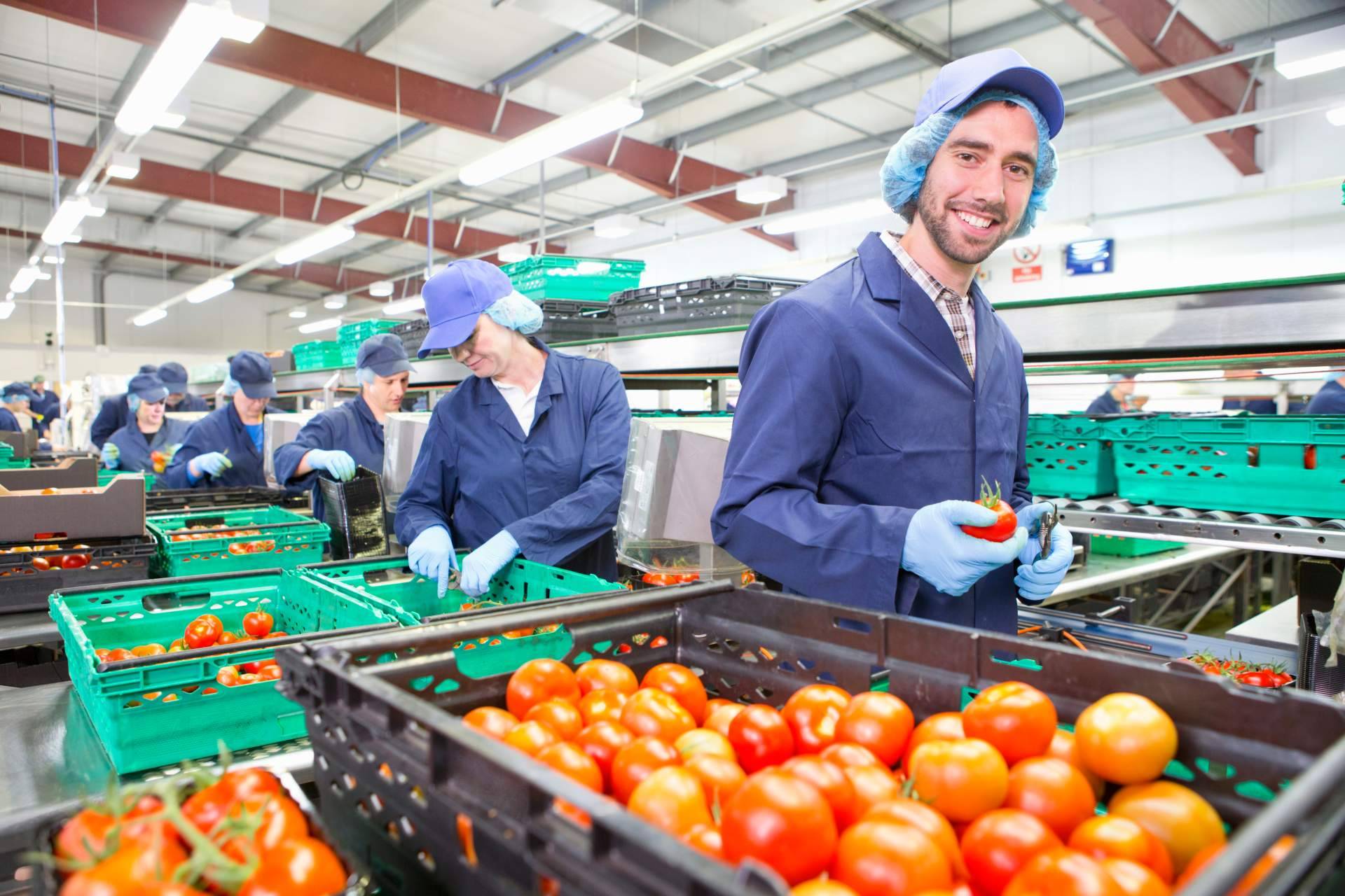 ¿Cómo incrementar la productividad con la automatización de los procesos en una fábrica? Overtel