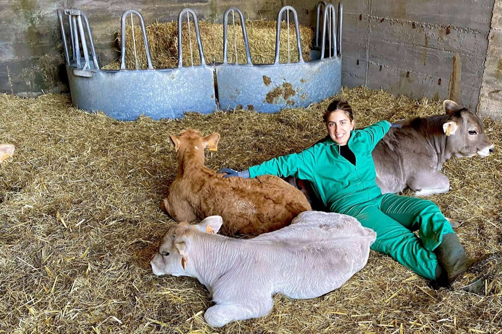 Tu Ternera en Casa explica cuáles son los productos km 0 que ofrece y las ventajas de consumirlos