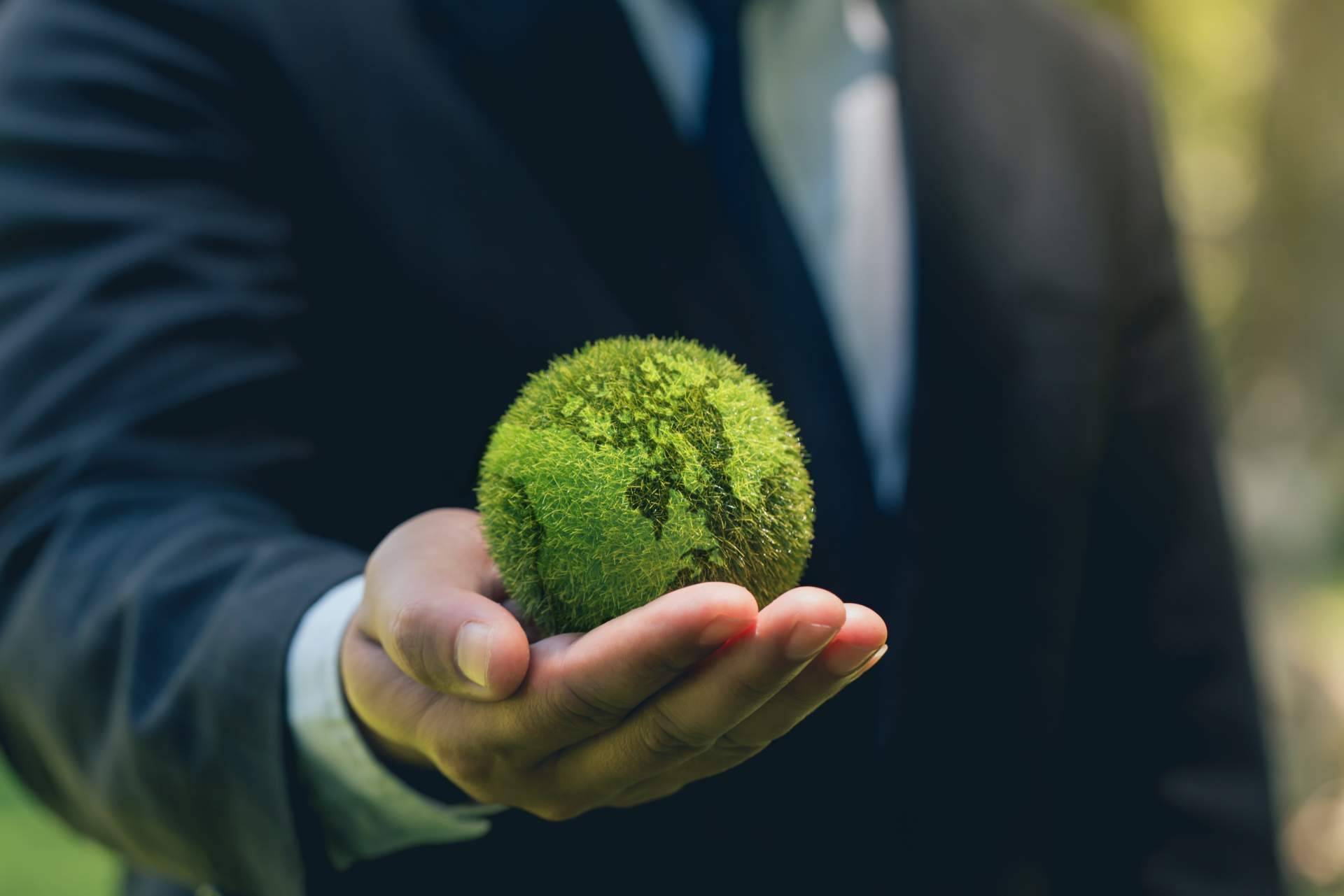 ClimaTrade, todo lo que ofrece para que las empresas puedan lograr la neutralidad de carbono