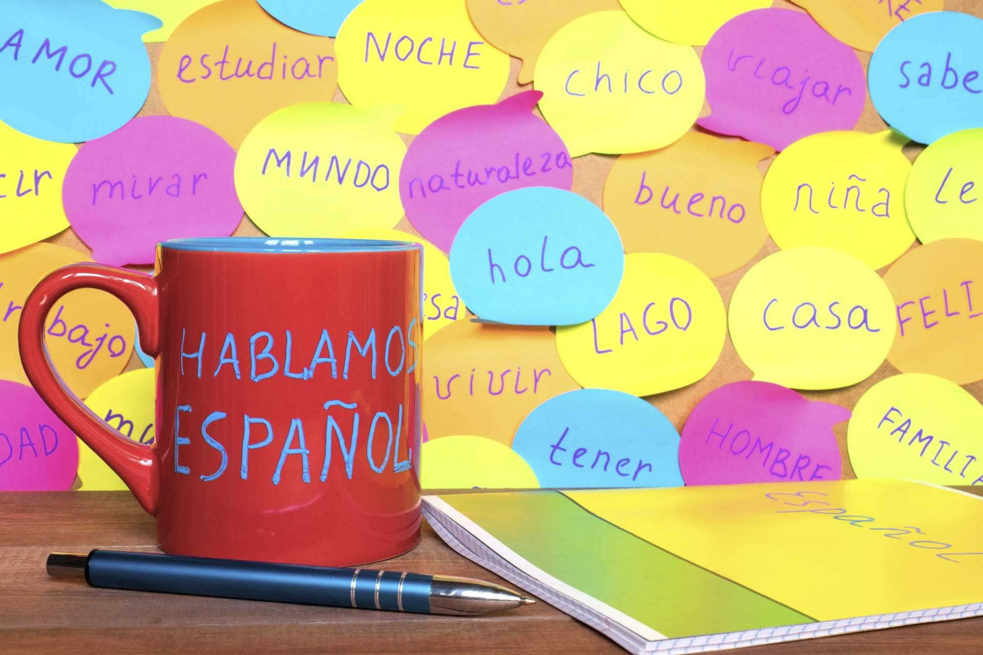 Enforex ofrece formaciones para los estudiantes extranjeros que buscan learn spanish in Spain