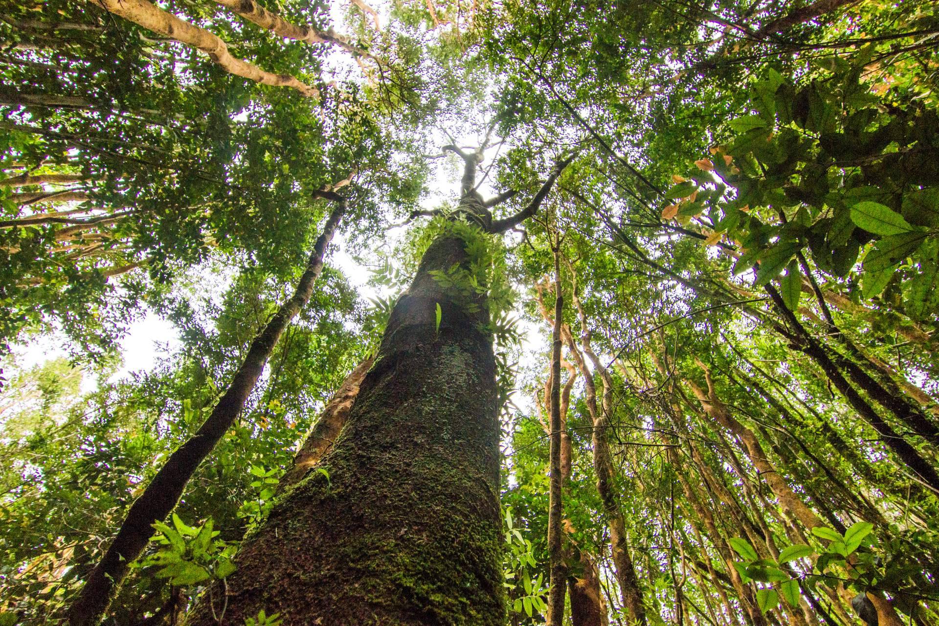Chiloé y su desarrollo como la isla más grande al sur de Chile