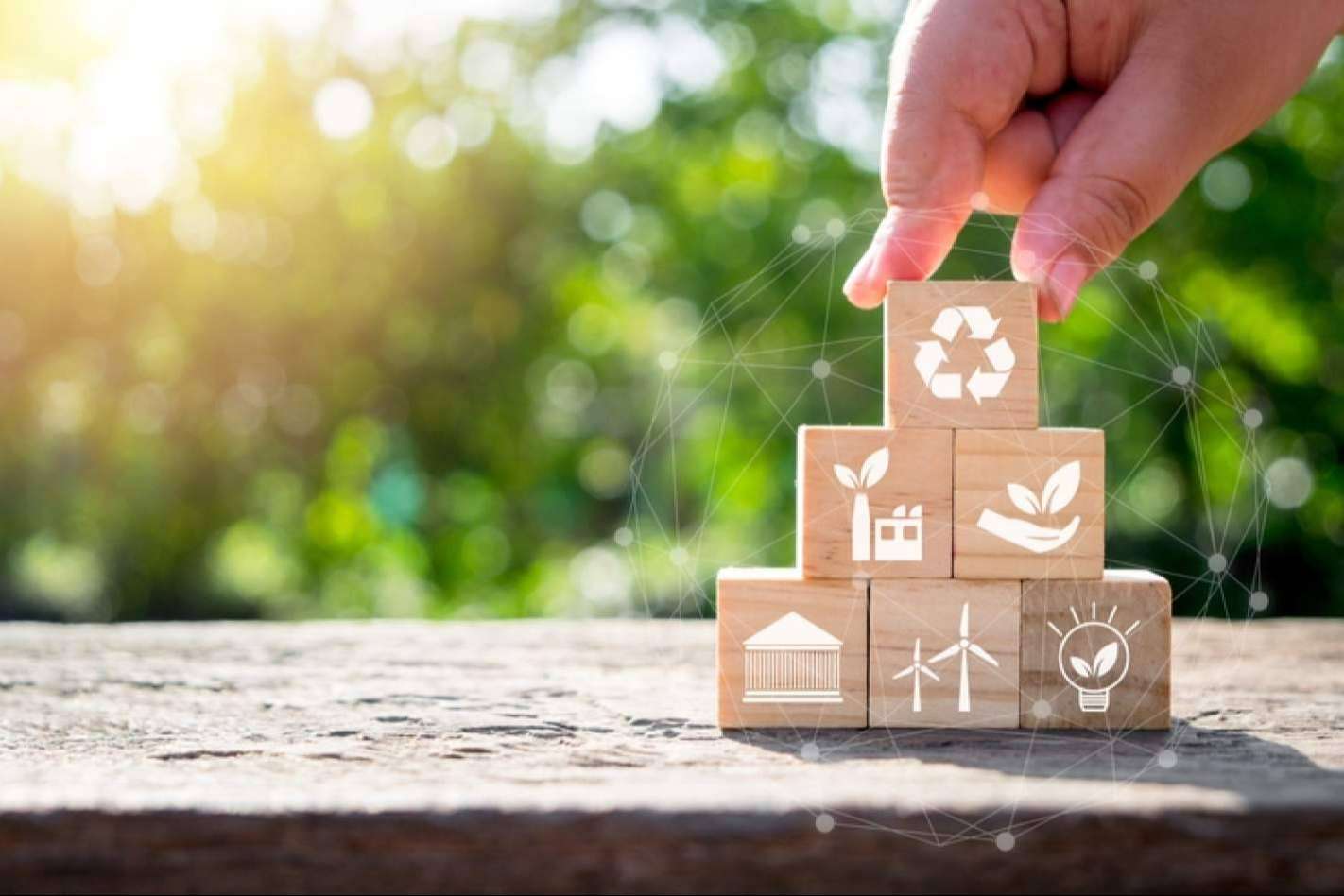 ¿Cómo puede ayudar una asesoría energética en la eficiencia energética para la lucha contra el cambio climático?