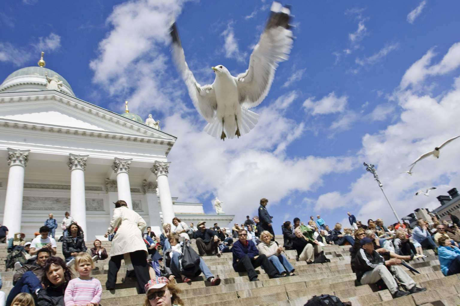 City Tour Helsinki Verano 2023, con Viada Tours