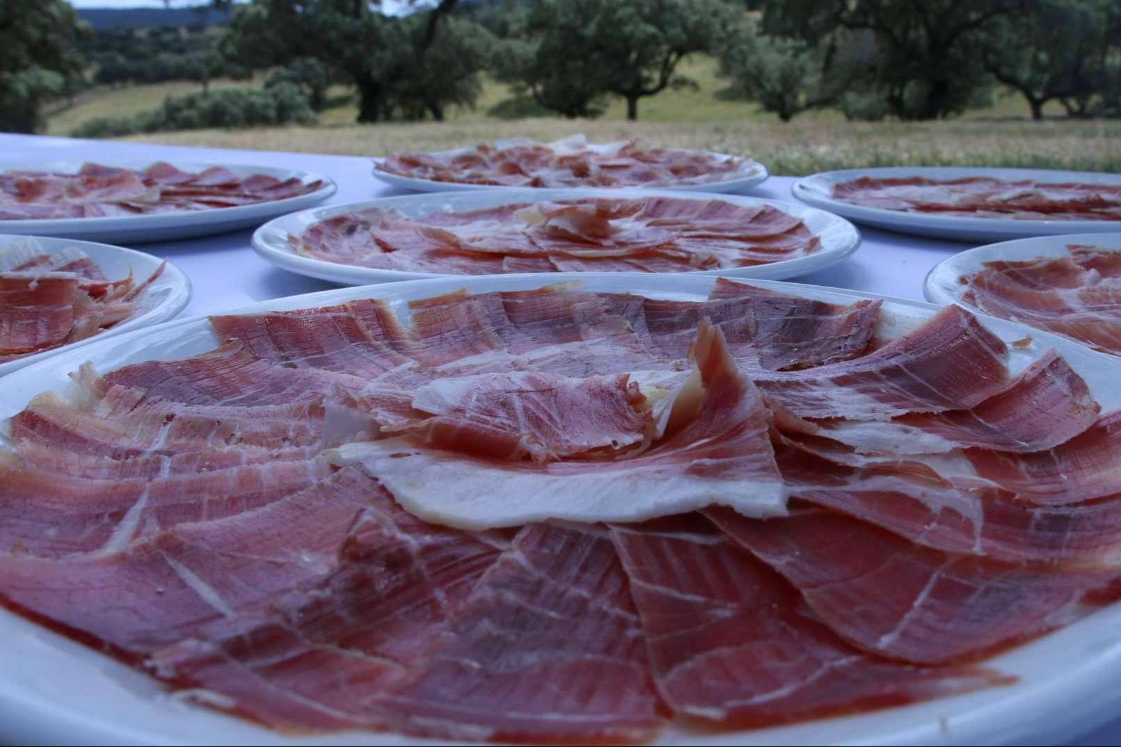 Bendita locura con ibericomio, comprar jamón ibérico por internet