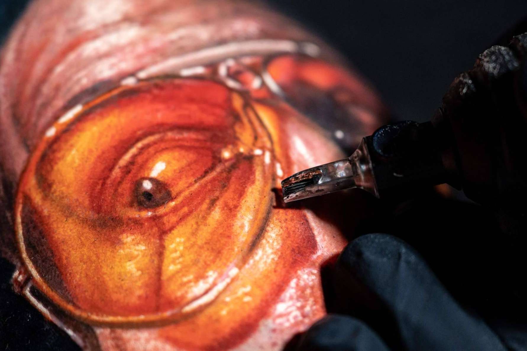 Tatuaje realista a color con los cursos de Habbility