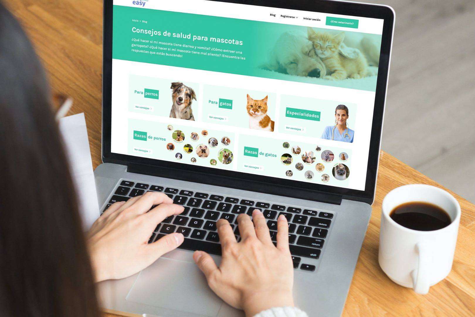 Los propietarios de mascotas acceden a servicios veterinarios de calidad con la plataforma VetEasy