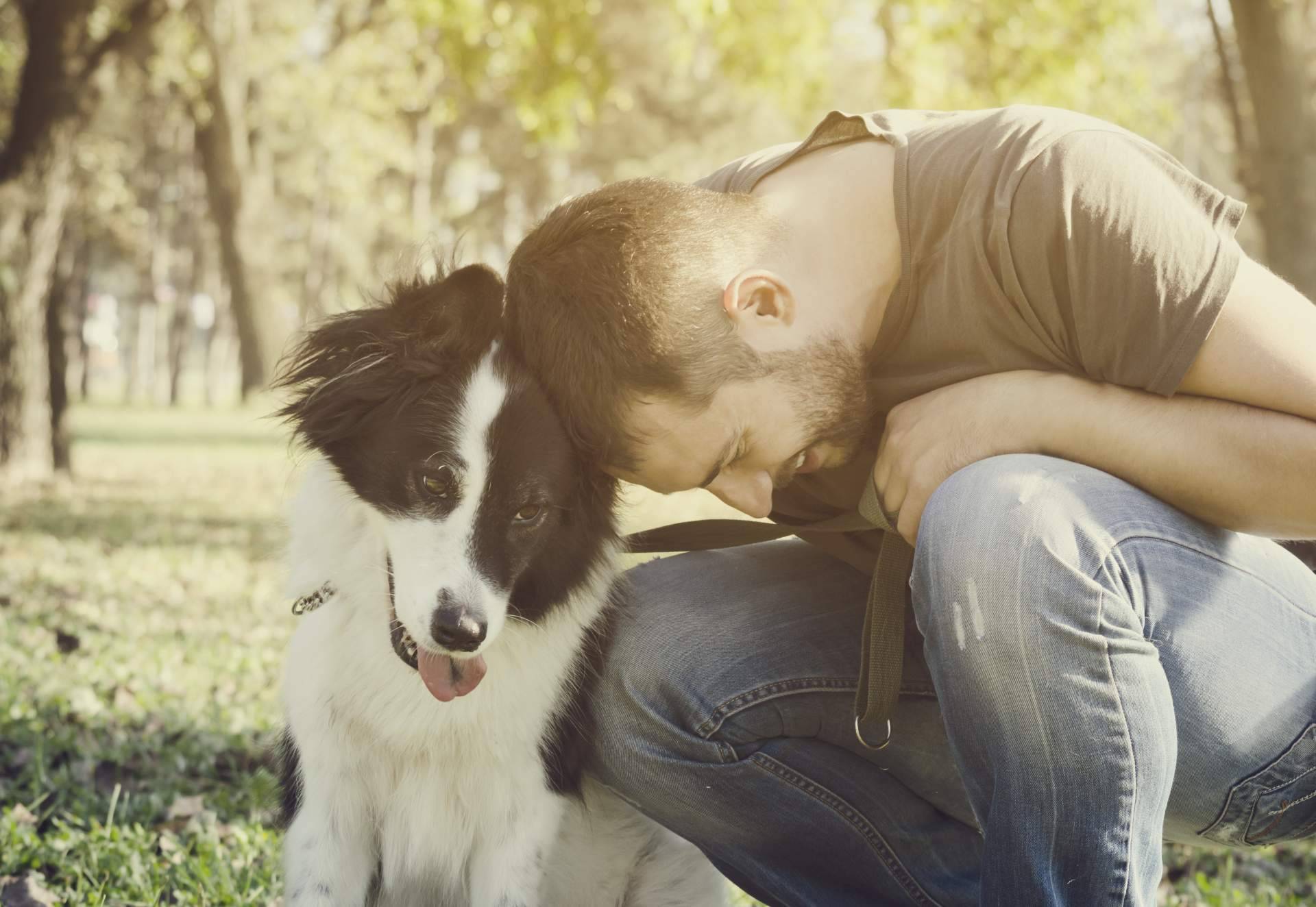 Conciliar la relación con el perro de la familia