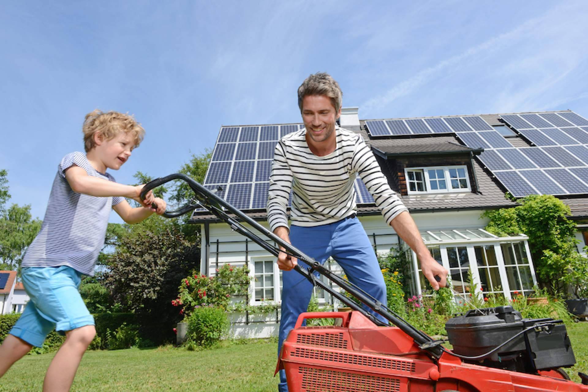 ¿Son realmente necesarias las baterías para paneles solares?