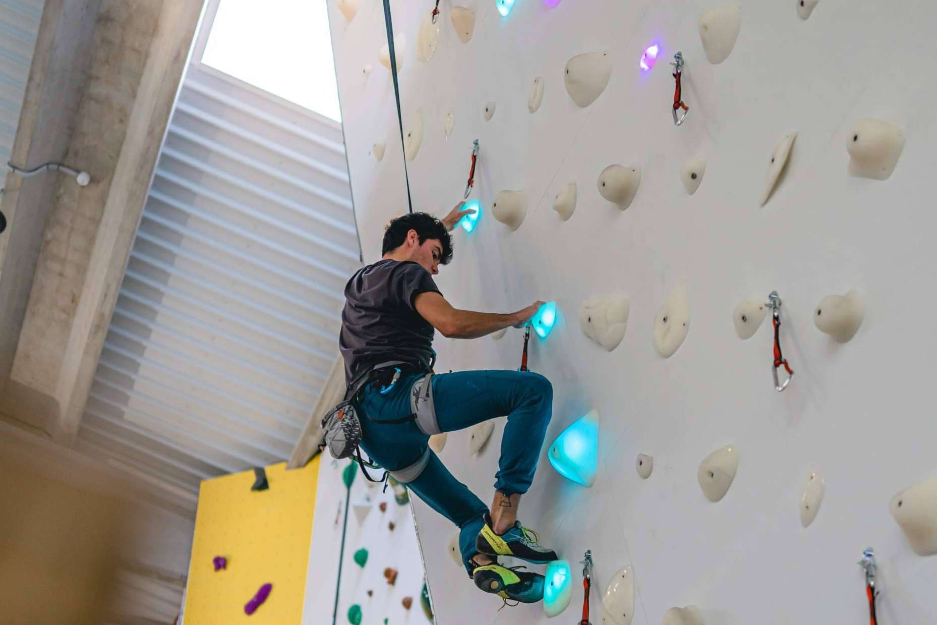 ¿Por qué se deben escoger los sistemas de escalada Shiny Wall?