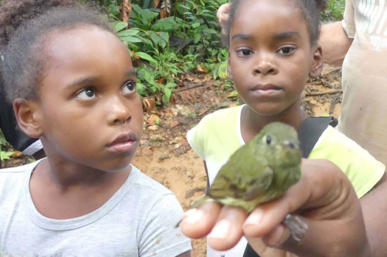 Una manera de vivir voluntariados ambientales internacionales, de la mano de ONGVoluntariado
