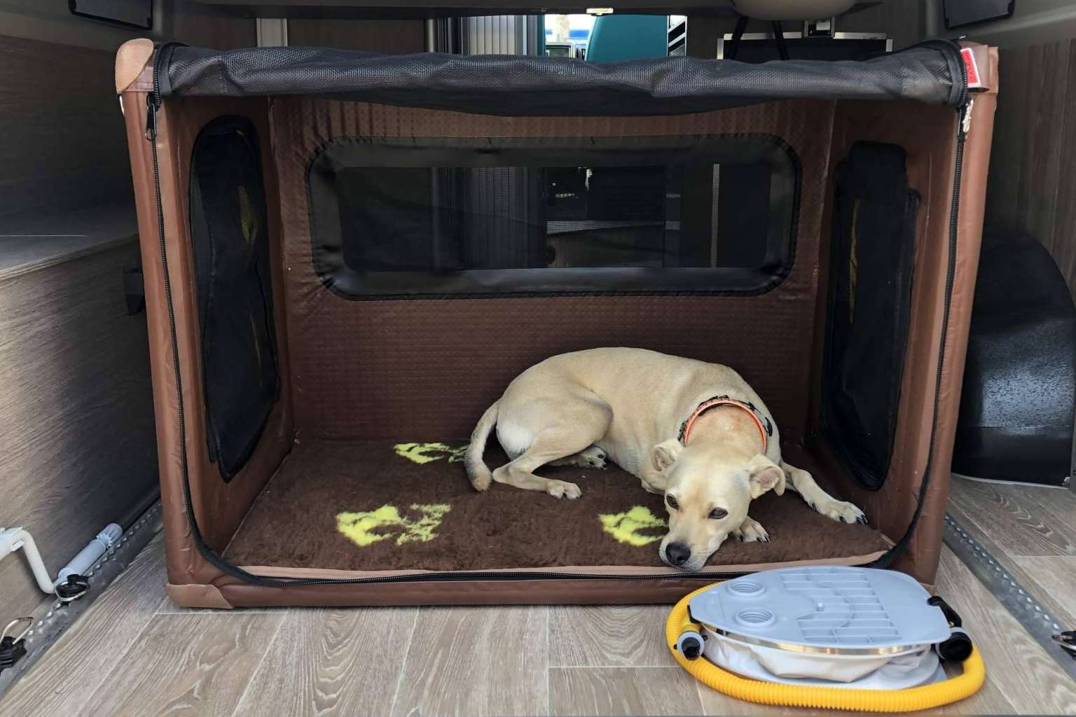 Alquiler de autocaravanas en Girona para realizar viajes con perros, de la mano de Activans