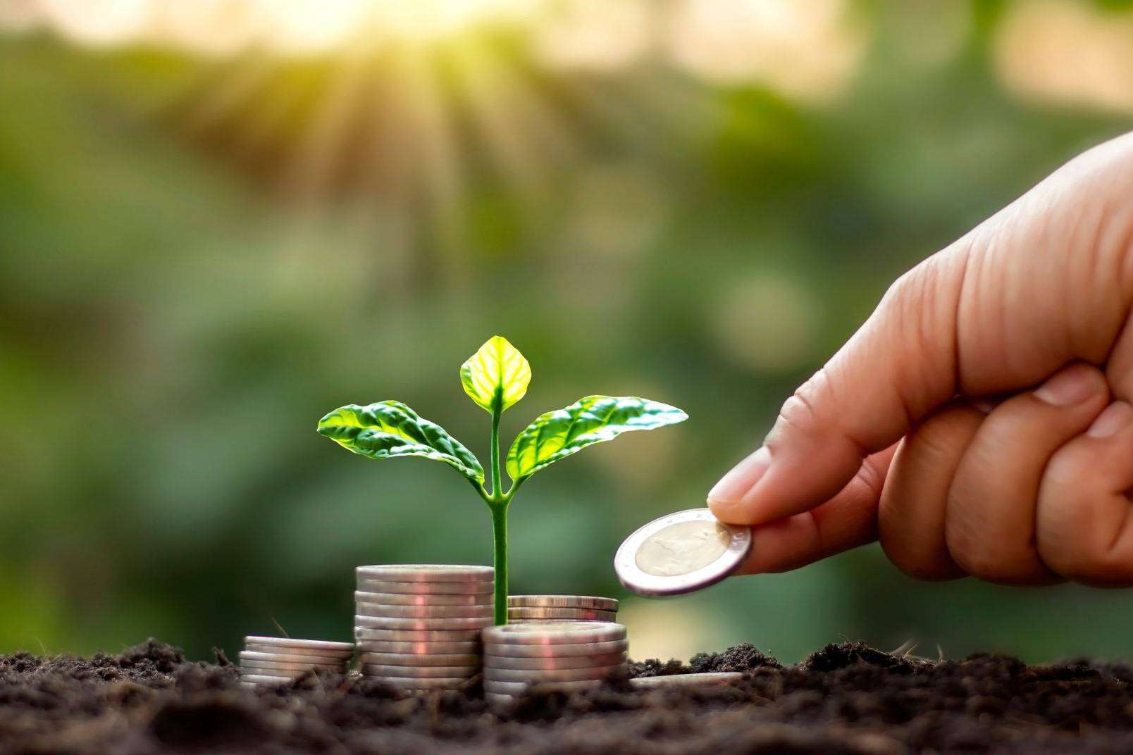 Eneryou ofrece una de las mejores tarifas de gas natural de este verano para empresas