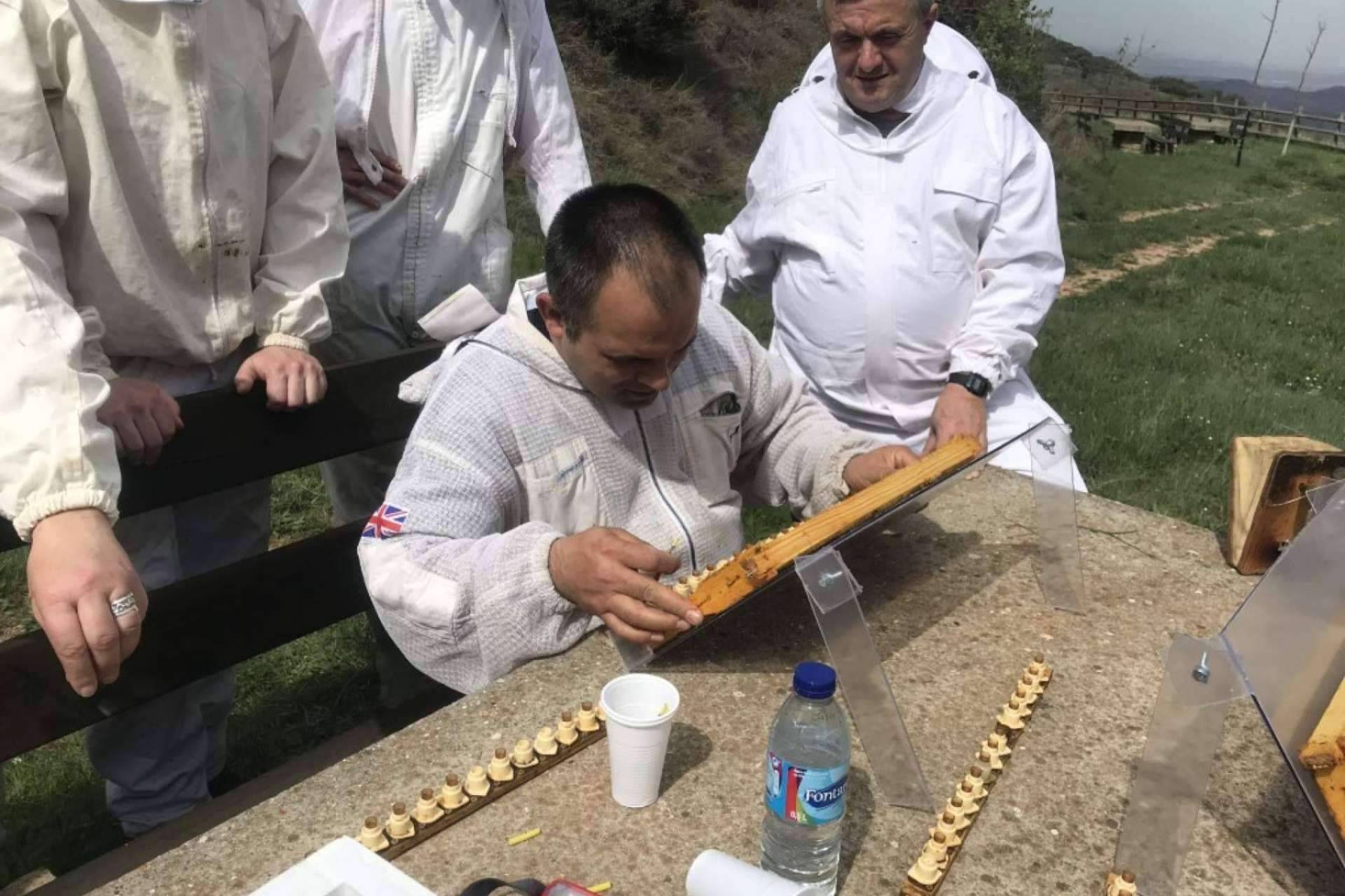 Cursos Apicultura y su enfoque en el criadero de abejas reinas