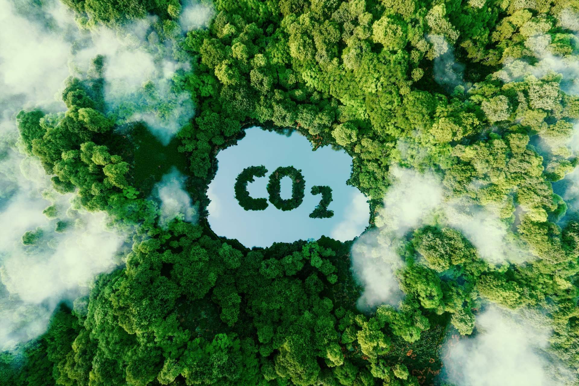 Para ahorrar papel y reducir las emisiones de CO2, InPost se pasa a los envíos sin etiquetas