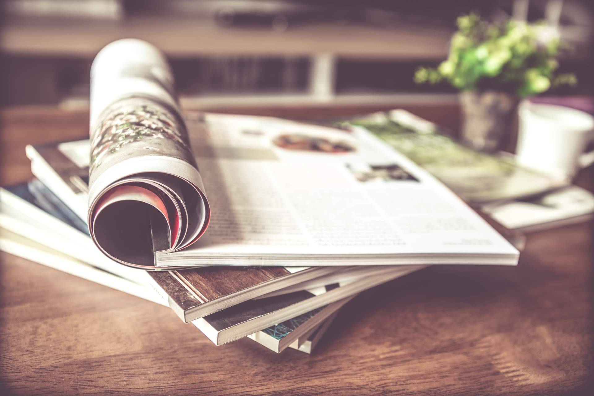 La revolución de las revistas de lujo, Vip Style Magazine