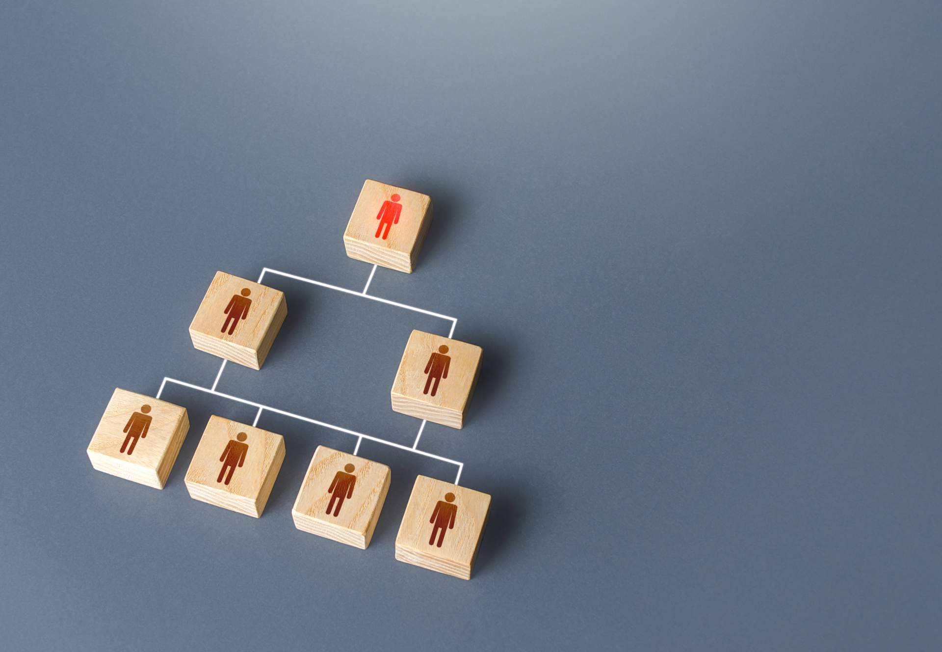 ISOTools acerca de los tipos de estructura organizacional