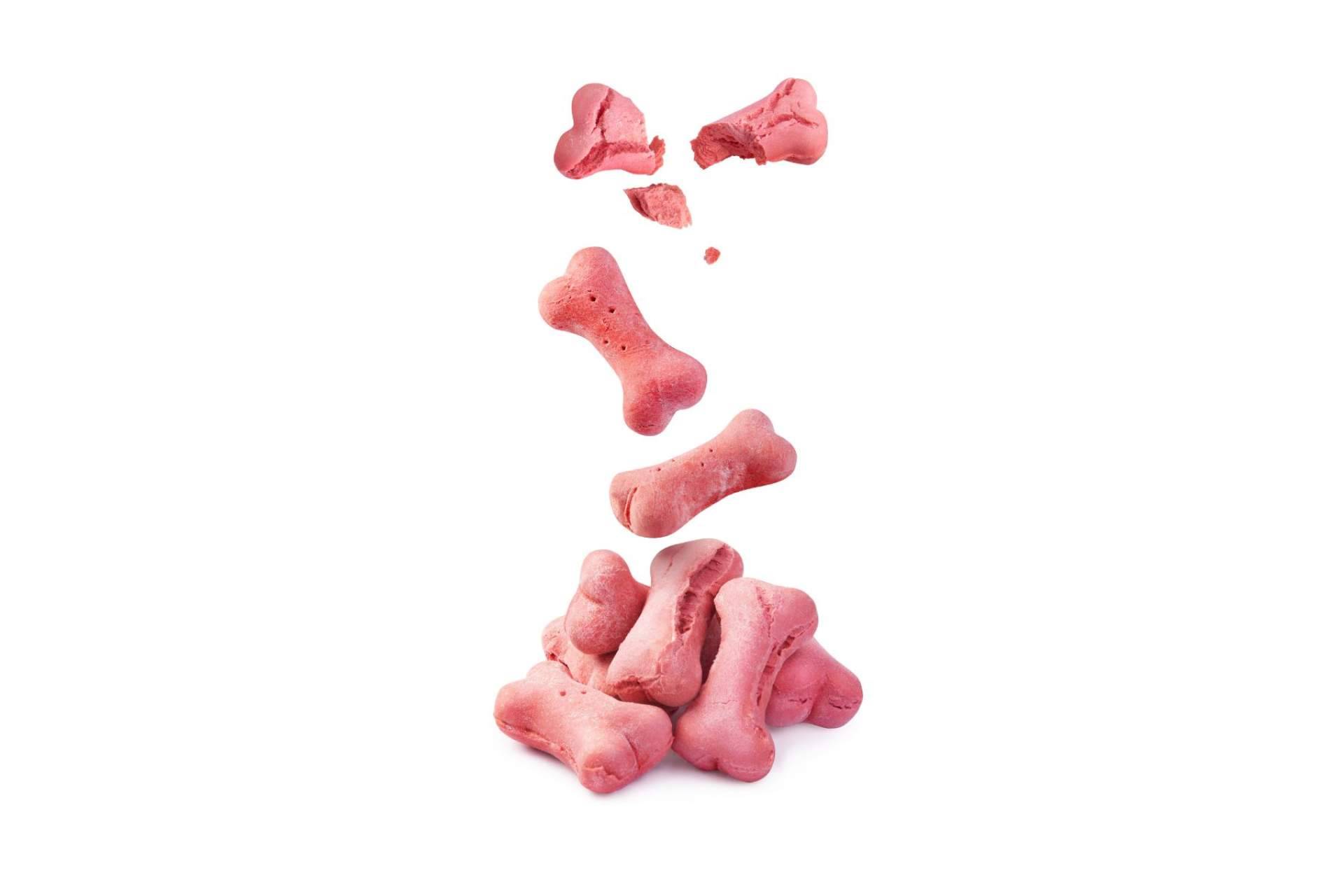 Snacks para perros y gatos, en el catálogo de Can Xana