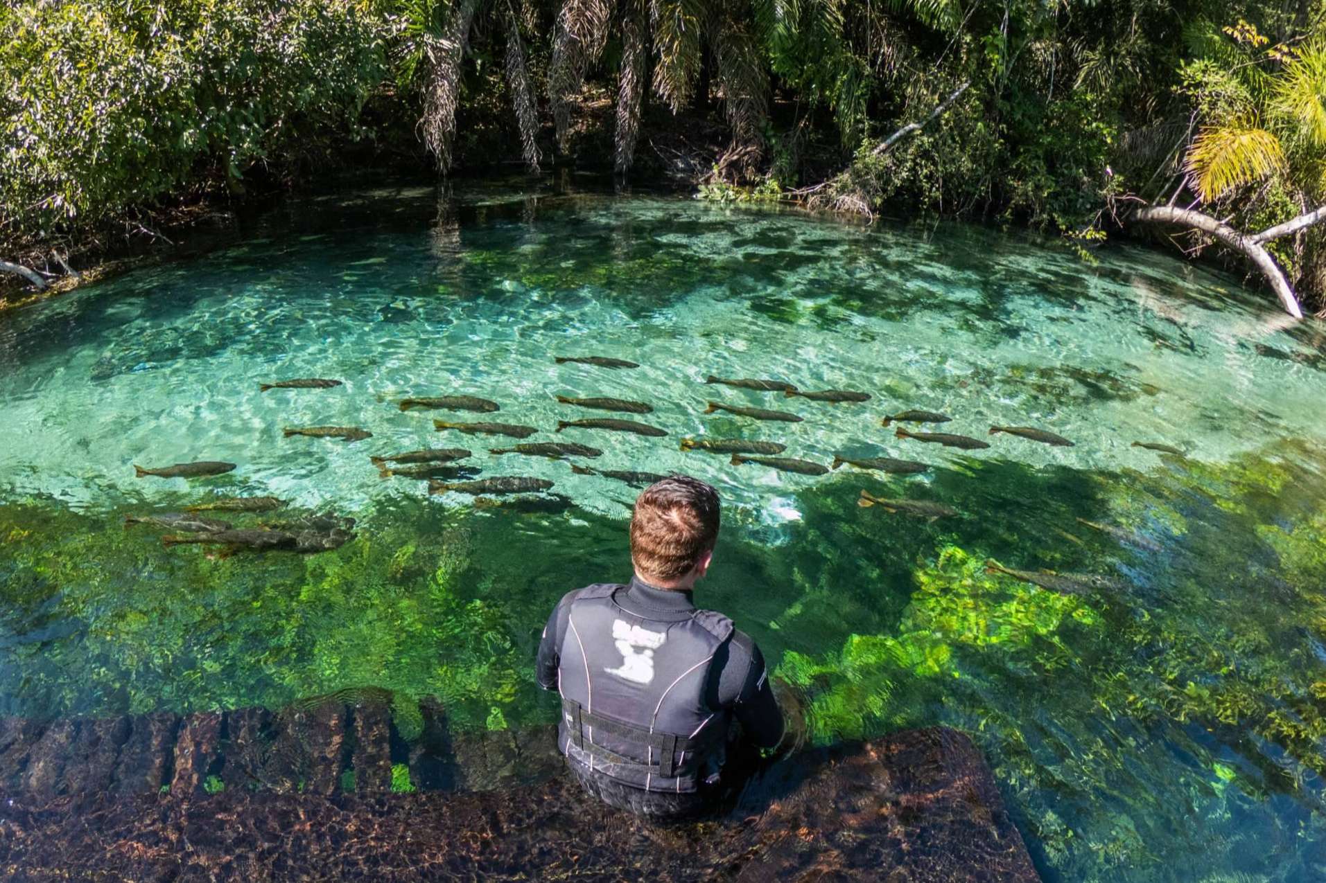Viagens e Caminhos da algunos consejos para disfrutar de Bonito MS