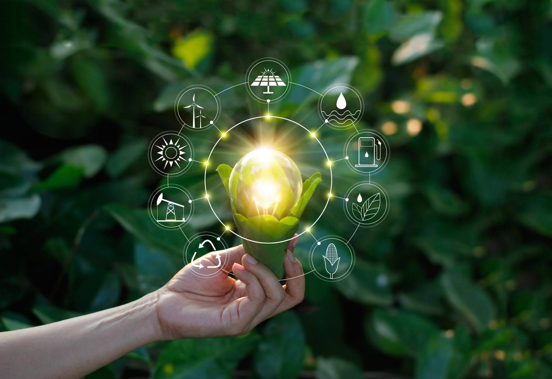 Tener una asesoría energética como LuzHogar es importante
