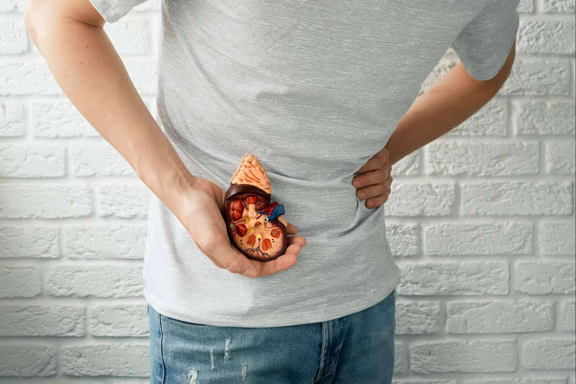 Cómo frenar o prevenir las enfermedades renales, con la clínica MER