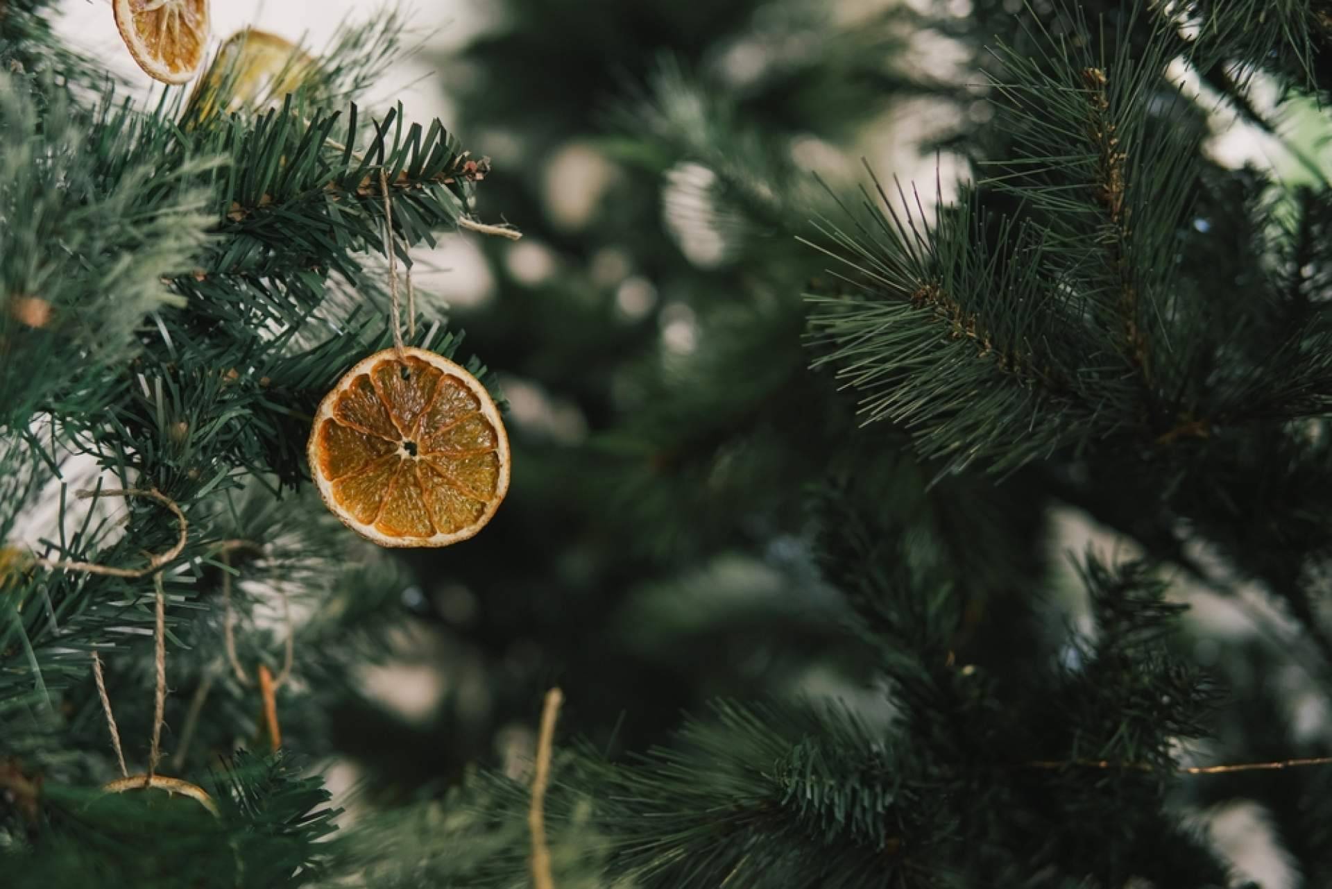 Adquirir árboles de Navidad naturales de la mano de Navet